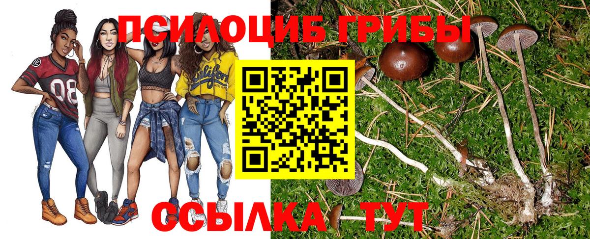 Псилоцибиновые грибы мухоморы  Вход с VPN  Галлюциногенные грибы GOLDEN TEACHER  Южно-Сахалинск 